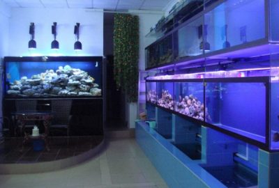 亚克力鱼缸维生系统是由六大部分组成以及工艺原理